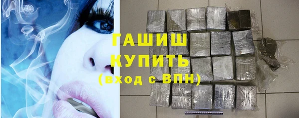 стаф Алзамай