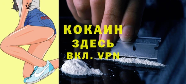 стаф Алзамай