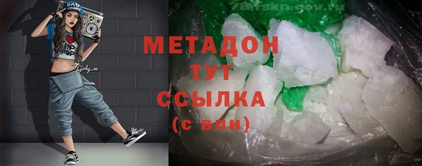 стаф Алзамай